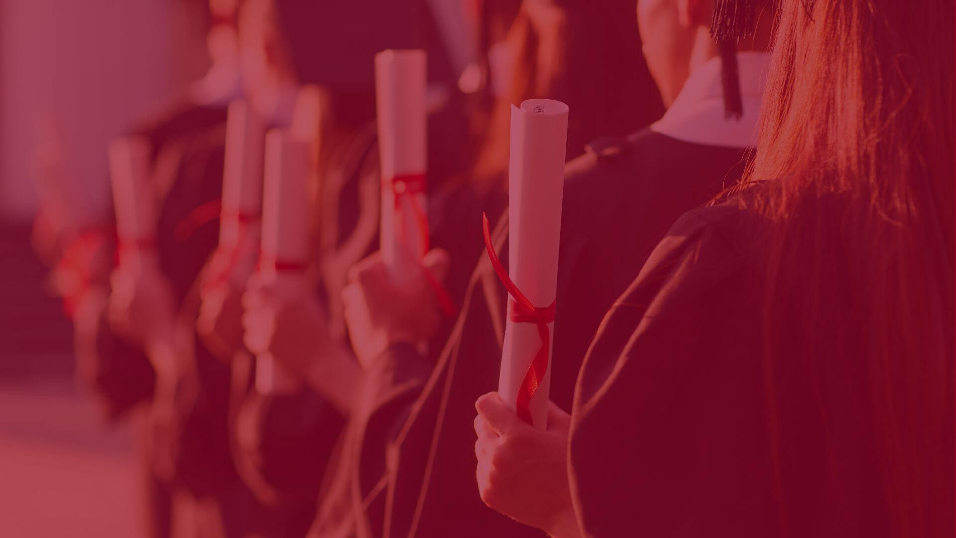 Magister Graduate Magister - jak zdobyć ten tytuł zawodowy? | Akademia Humanistyczno ...