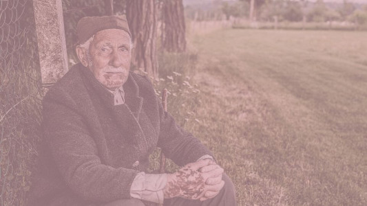 Pozytywizm – literatura jako symbol pracy organicznej i pracy u podstaw