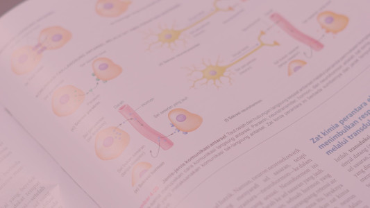 czy matura z biologii jest trudna
