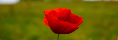 Wykonaj plakat i wygraj bony do Empiku