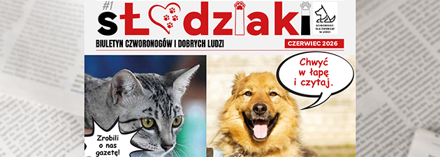 Piotrkowska pełna merdających ogonów i... dziennikarski debiut! 