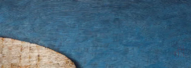 Wystawa ,,Altaria" dr Doroty Herbik w Galerii Monopolis