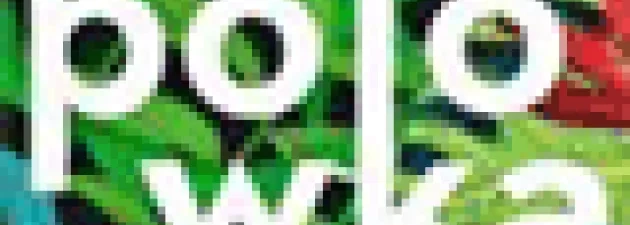 AHE Łódź Polówka pokazy filmowe