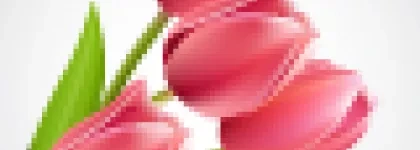 AHE Łódź Dzień Kobiet samorząd studentów