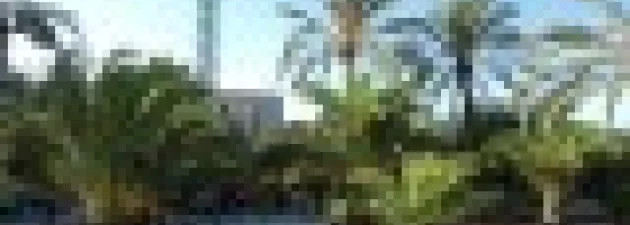 AHE Łódź studia grafika staż Barcelona