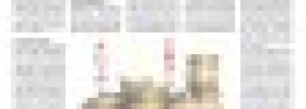 artykuł dr Joanny Wiśniewskiej-Mikosik