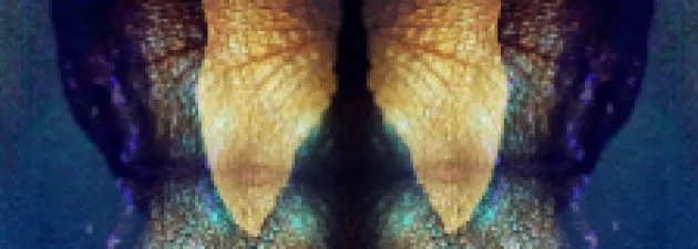 Student kierunku grafika wyróżniony w konkursie