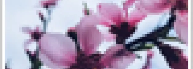 Wiosna, AHE – to Ty!