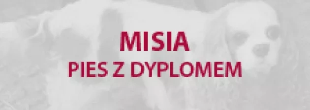Misia pies z dyplomem