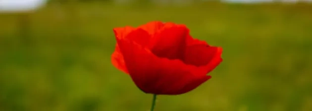 Wykonaj plakat i wygraj bony do Empiku