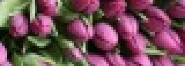 Dzień Edukacji Narodowej