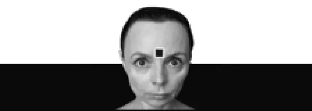 Wernisaż wystawy Magdaleny Samborskiej