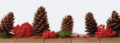 Candis Hidalgo: https://www.pexels.com/pl-pl/zdjecie/dekory-brazowej-szyszki-sosny-639123/