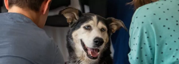 „Jak pies z kotem – spotkania i historie nadzwyczajne” | warsztaty