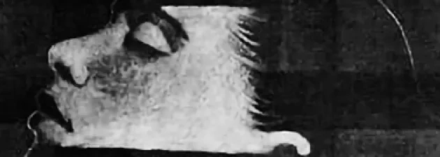 Wystawa prac studentów grafiki w galerii „Wersalka".