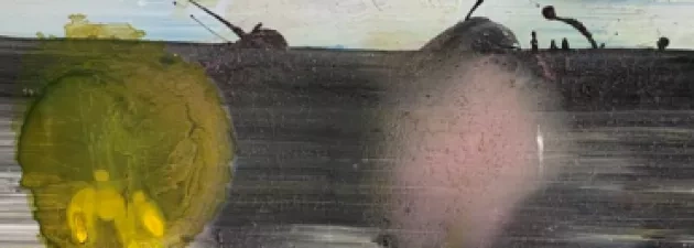 Etymologia brzydoty w Galerii Patio2