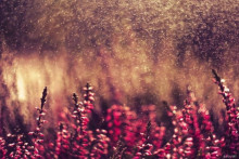 Wystaw absolwentki kierunku grafika w MCK w Bełchatowie