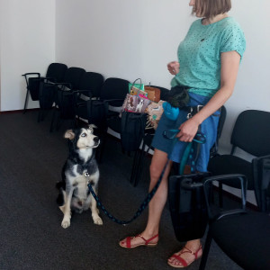 „Jak pies z kotem – spotkania i historie nadzwyczajne” | warsztaty