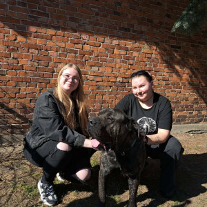 Finał akcji Samorządu Studentów dla Fundacji Cane Corso Rescue