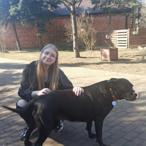 Finał akcji Samorządu Studentów dla Fundacji Cane Corso Rescue