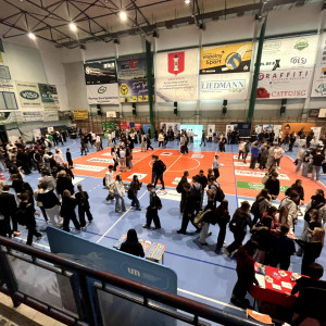 Wieluńskie Targi Edukacyjne Uczelni Wyższych i Szkół Policealnych