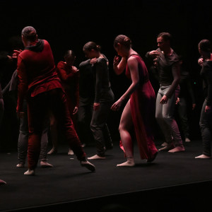 Tancerze AHE na TEDxUniversity of Lodz 2025