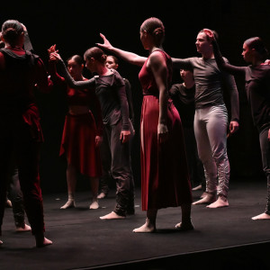 Tancerze AHE na TEDxUniversity of Lodz 2025