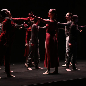 Tancerze AHE na TEDxUniversity of Lodz 2025