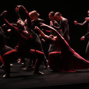 Tancerze AHE na TEDxUniversity of Lodz 2025