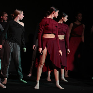 Tancerze AHE na TEDxUniversity of Lodz 2025