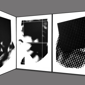 Elżbieta Dul-Ledwosińska