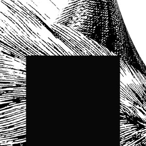 Elżbieta Dul-Ledwosińska, 2024 | Flat