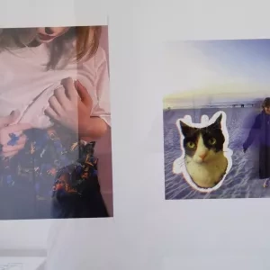 Wystawa „Kompot2 Dolewka" w Galerii Kontakt