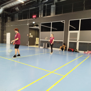 AMWŁ w badmintonie 