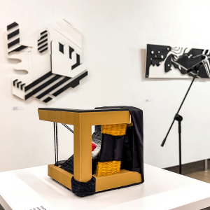 Dr Katarzyna Rumińska z indywidualną wystawą w Chorzowie