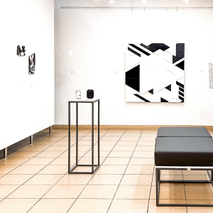 Dr Katarzyna Rumińska z indywidualną wystawą w Chorzowie