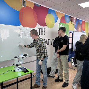 Wieluńskie Targi Edukacyjne Uczelni Wyższych i Szkół Policealnych