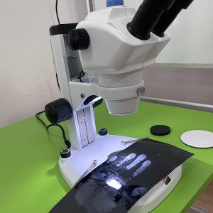 Wieluńskie Targi Edukacyjne Uczelni Wyższych i Szkół Policealnych