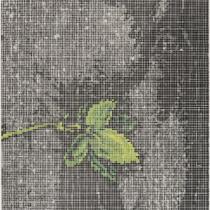 Joanna Rejs, 2023 | Początek 