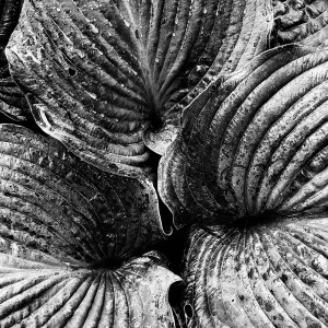 Marek Poźniak, 2024 | Zbliżenie