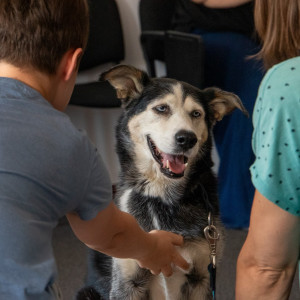 „Jak pies z kotem – spotkania i historie nadzwyczajne” | warsztaty