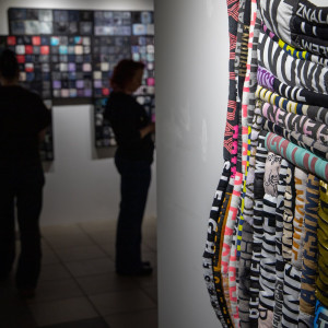 Wystawa dr hab. Pauliny Poczętej, prof. UŚ w Galerii Patio2