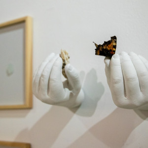 Wystawa Rejs w Galerii Patio2