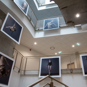 projekt dyplomowy Denisa Stanka (ps. Denis Palmer)