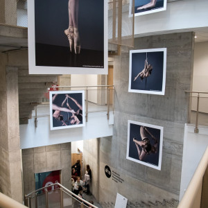 projekt dyplomowy Denisa Stanka (ps. Denis Palmer)