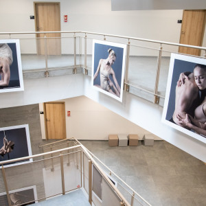 projekt dyplomowy Denisa Stanka (ps. Denis Palmer)