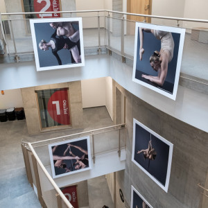 projekt dyplomowy Denisa Stanka (ps. Denis Palmer)