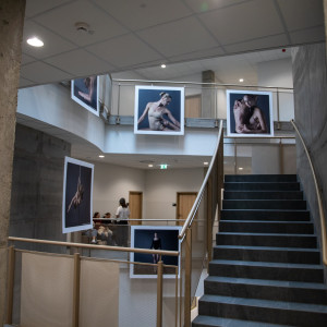 projekt dyplomowy Denisa Stanka (ps. Denis Palmer)