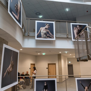 projekt dyplomowy Denisa Stanka (ps. Denis Palmer)