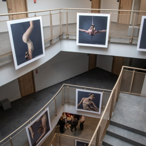 projekt dyplomowy Denisa Stanka (ps. Denis Palmer)